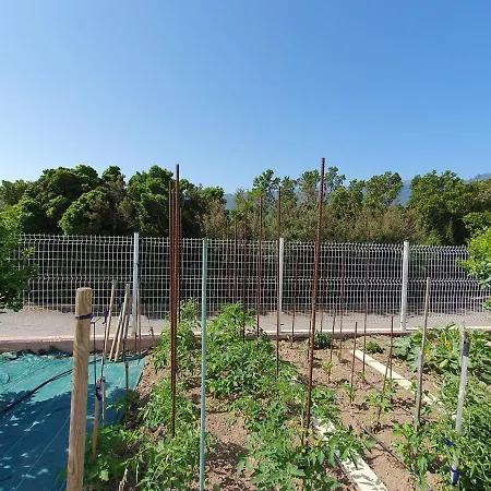 Cap Corse Vue Et Montagne * Pietracorbara