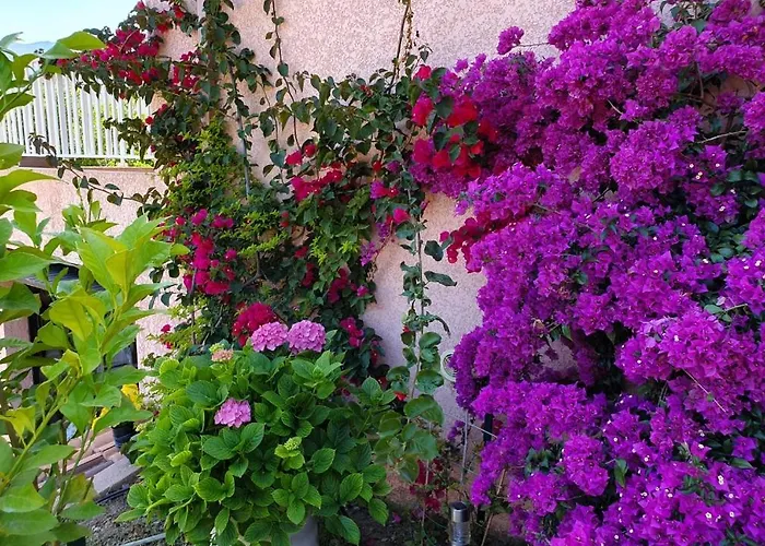 Cap Corse Vue Et Montagne *