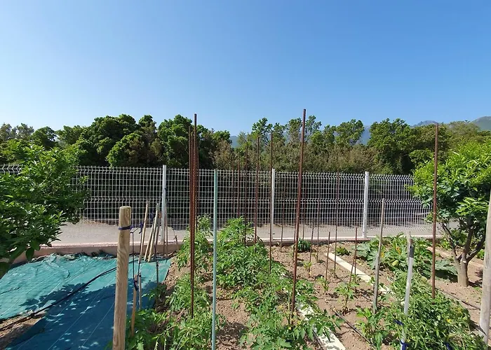 Cap Corse Vue Et Montagne * Pietracorbara